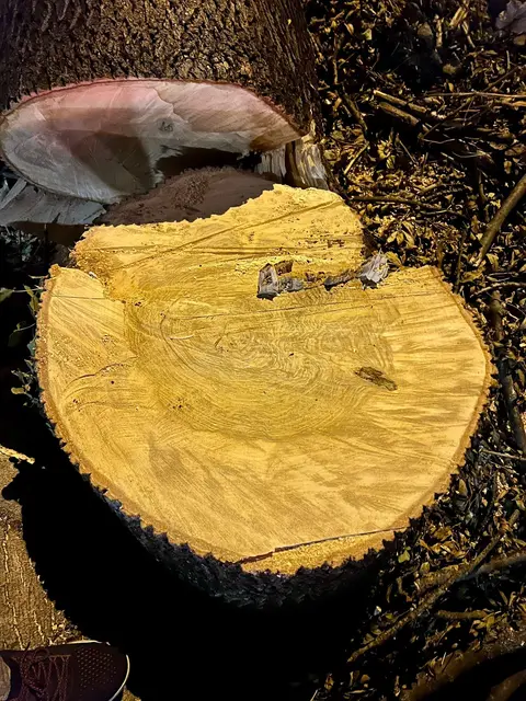 Foto: westbahnpark.jetzt