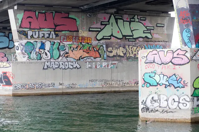 Im August wurde im Bereich der Neuen Donau eine Wasserleiche geborgen. Bei dem getöteten Mann soll es sich laut derzeitigem Ermittlungsstand um ein Mordopfer handeln. (Symbolfoto) | Foto: ALEX HALADA / picturedesk.com