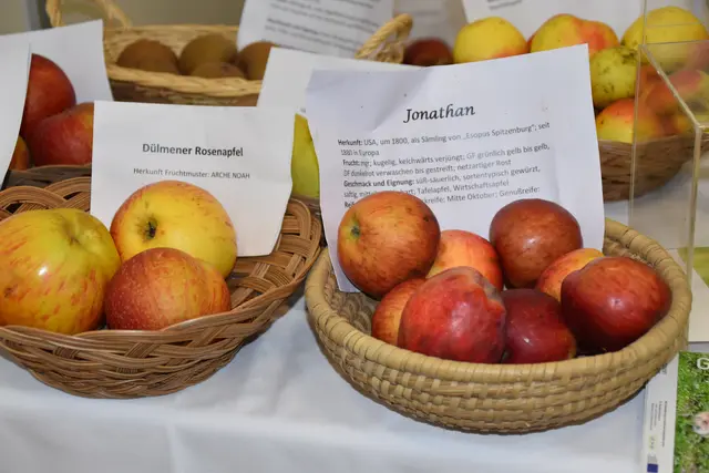 Foto: Michael Strini