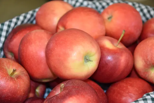 Foto: Michael Strini