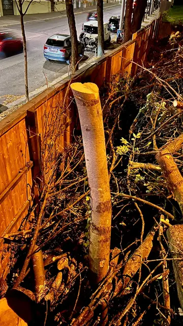 Foto: westbahnpark.jetzt