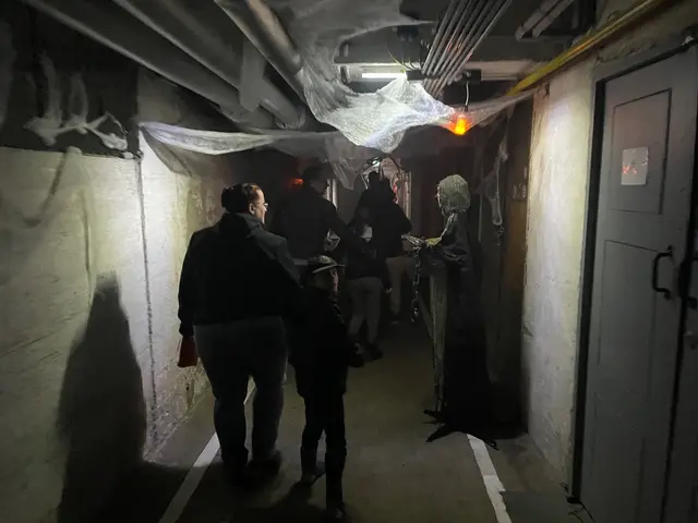 Nichts für schwache Nerven: der Marktkeller. | Foto: Marktamt