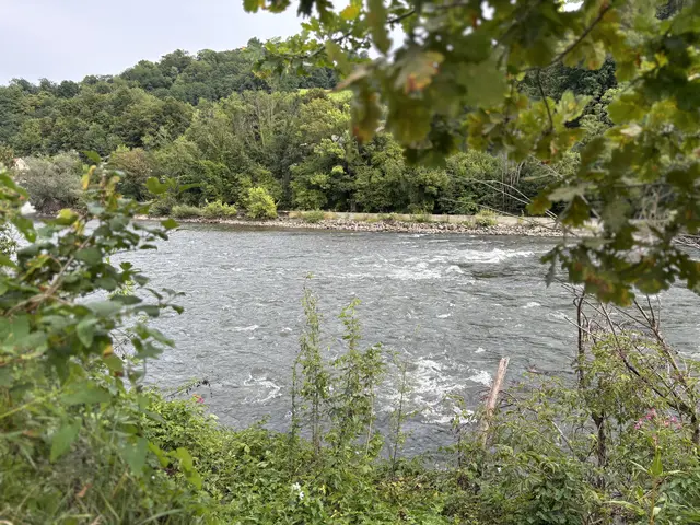 Im österreichischen Teil des Unesco Fünf-Länder-Biosphärenparks werden drei Projekte umgesetzt.
 | Foto: MeinBezirk/Gerda Sammer-Schmidt