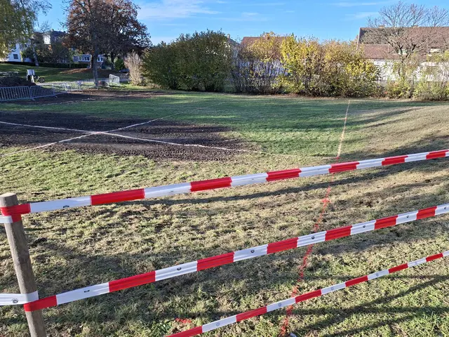 Wer kann sagen, was auf diesen Feldern geplant ist?