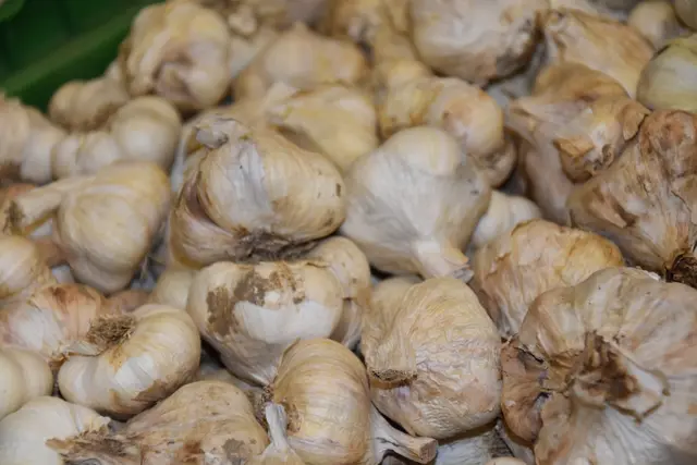 Foto: Michael Strini