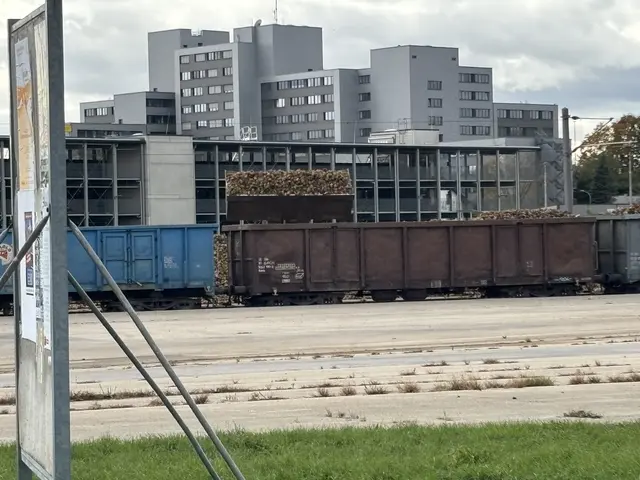 Foto: Alexandra Goll