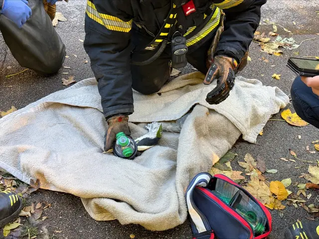 Die Feuerwehr befreite den geschwächten Reiher aus einer Angelschnur. | Foto: FF Schwechat