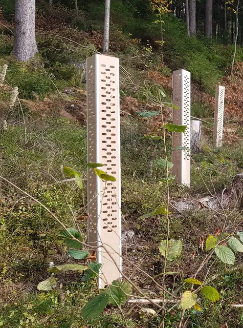 Es bleibt kein Plastikabfall im Wald zurück. | Foto: Fundermax