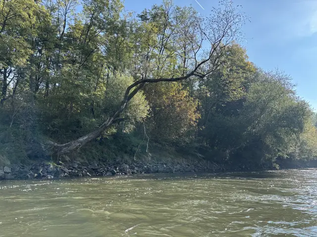 Im Rahmen des Projekts „LIFE RESTORE for MDD“ werden in den nächsten fünf Jahren 20 Millionen Euro in die Renaturierung von Flüssen und Auwäldern in fünf Ländern entlang der Mur, Drau und Donau investiert.  | Foto: MeinBezirk/Gerda Sammer-Schmidt