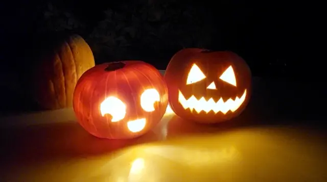 Das Einzige, was in der Halloween-Nacht wirklich Angst machen sollte, sind Kürbisfratzen, Kostümierte und Schauergeschichten – nicht Unfälle, Blaulicht und Sirenen. | Foto: Carmen Kurcz