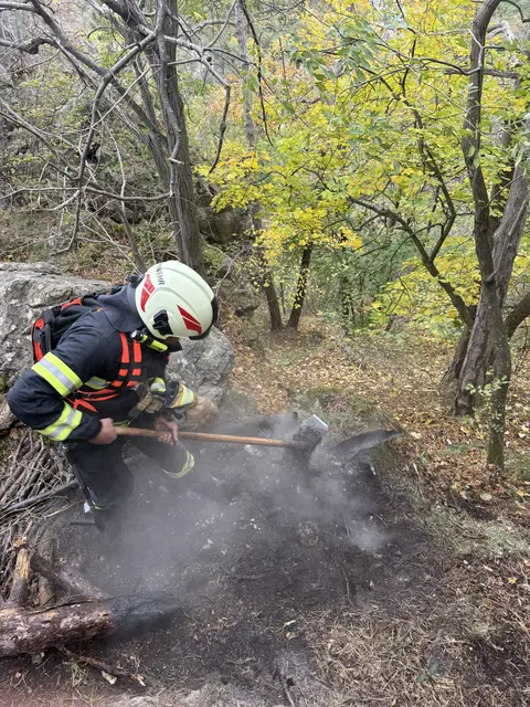 Die Freiwillige Feuerwehr Mödling musste zu einem Waldbrand ausrücken. | Foto: ffmoedling.at