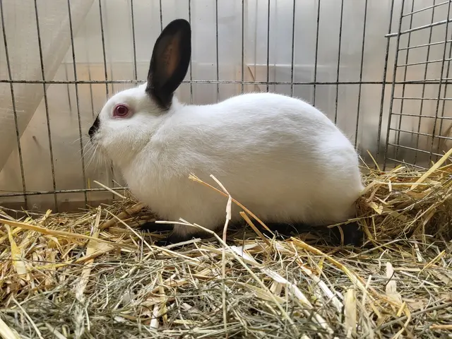 Foto: Robert Pichler