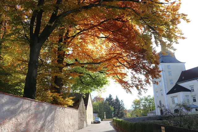 Am Weg in die idyllisch gelegene, 
naturbelassene Puchheimer Au.