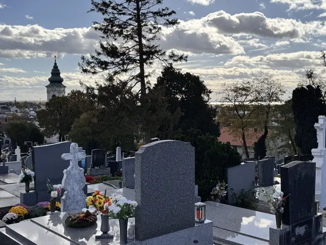Ein Blick vom Friedhof auf die Stadtpfarrkirche und den Neusiedler See | Foto: Andrea Glatzer