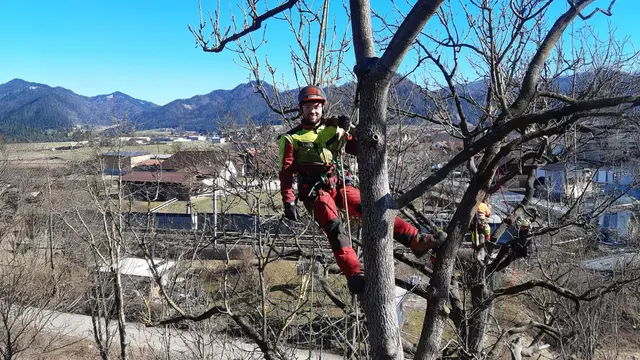 Kilian Zierer G.H. zeigt nachhaltige Baumabtragung, Rasenpflege und Grünraumpflege in Kumberg, Steiermark. | Foto: Zierer