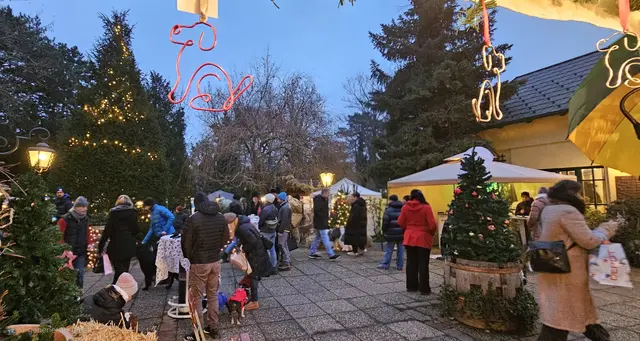 Der Hundeweihnachtsmarkt in Mauer feiert heuer achtes Jubiläum. | Foto: Paprika Dogwear
