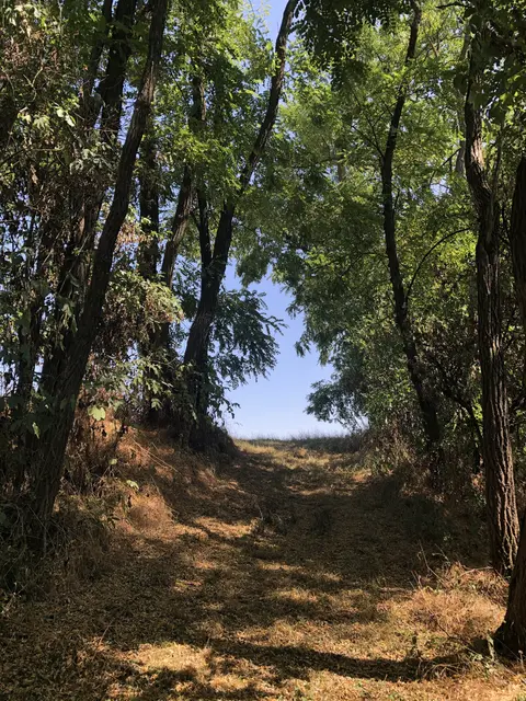 Die Landwirtschaft prägt laut 92 Prozent der Befragten maßgeblich das Landschaftsbild. | Foto: Alexandra Goll