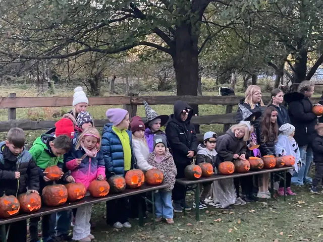 Kürbisse gehörten beim Halloween-Treiben dazu. | Foto: privat