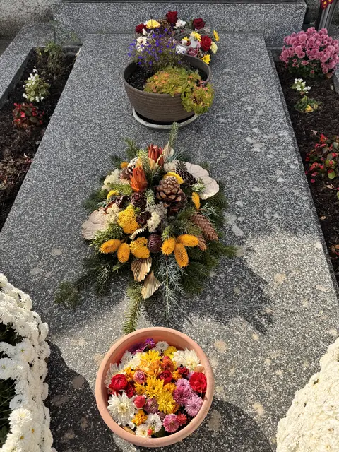 Foto: Andrea Glatzer