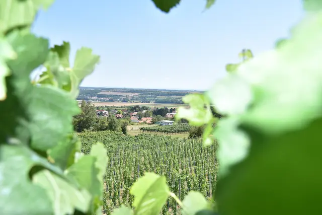 Viele Menschen sorgen sich über eine wachsende Abhängigkeit von Lebensmittelimporten. | Foto: Alexandra Goll