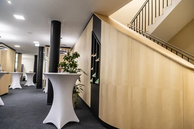 Foto: Cityfoto.at/Roland Pelzl