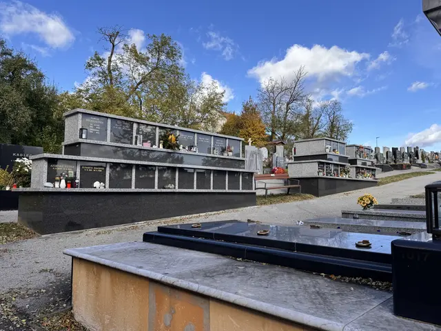 Foto: Andrea Glatzer