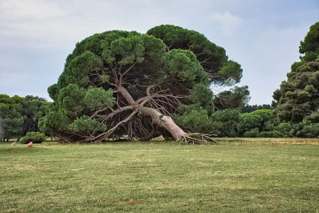 Wohl nicht mehr ganz standfest...
