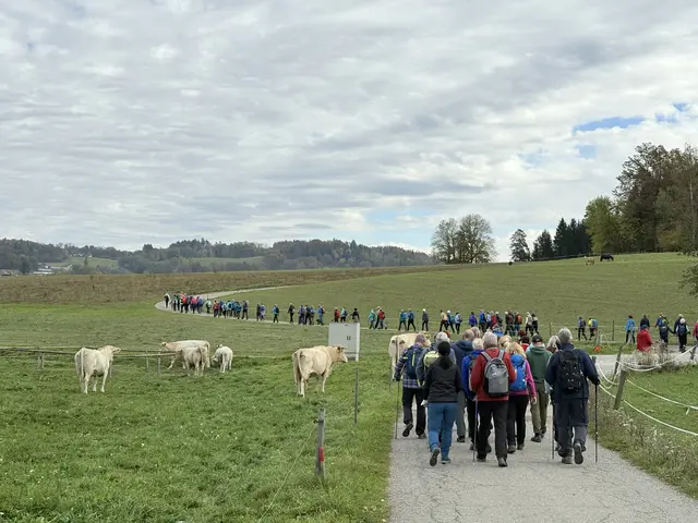 Rund 100 begeisterte Wanderer nahmen bei der 12. Sternenwanderung teil.  | Foto: Gemeinde Krumpendorf