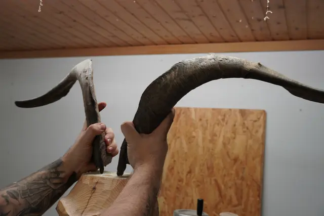 Foto: Johannes Brandner