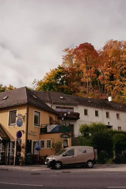 Das Stiegenwirtshaus, dahinter der Wald, der bald nicht mehr so aussehen wird. | Foto: Santrucek