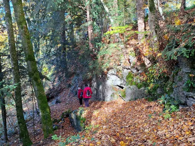 Foto: H.Bachinger/AC