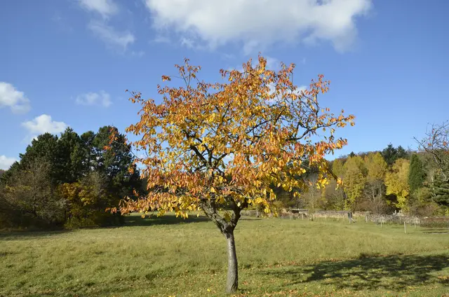 Gefordert wird unter anderem, dass das ortsübliche Landschaftsbild erhalten bleiben soll. | Foto: Foto: Fotofritz/Panthermedia