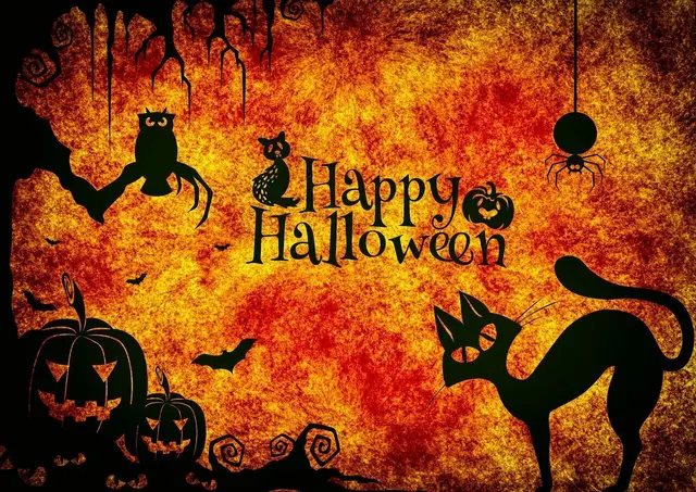 Das MeinBezirk-Team wünscht allen kleinen und großen Geistern eine schaurig-schöne Halloween-Nacht. (Symbolbild) | Foto: pixabay.com