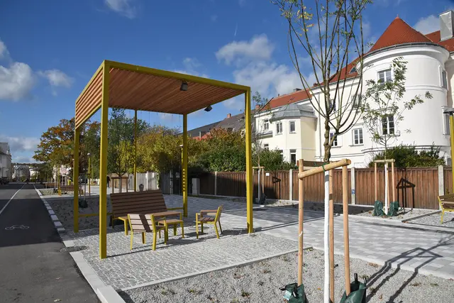 Frisch bepflanzt wirkt er noch unscheinbar – bald wird aber auch dieser neugestaltete Abschnitt des Promenadenrings so bunt und dicht bewachsen sein wie der erste. 
 | Foto: Josef Vorlaufer