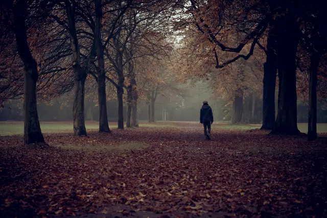 Wenn der Herbst kommt und die Tage kürzer werden, kann das in Verbindung mit aktuellen Krisen auf die Stimmung drücken. | Foto: Adobe Stock/roooaar.de