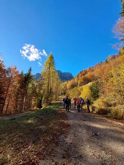Sonnenschein im herbstlich gefärbten Wald  | Foto: Alle Fotos: Lore Fluch
