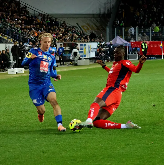 Foto: Manuel Handlfinger