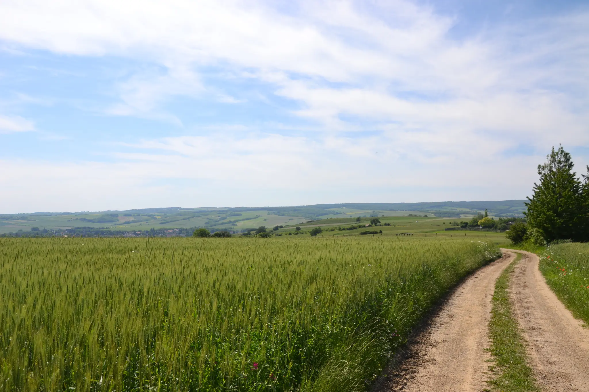 Sustainable Paths in Agriculture: Organic Association Erde & Saat Invites ...
