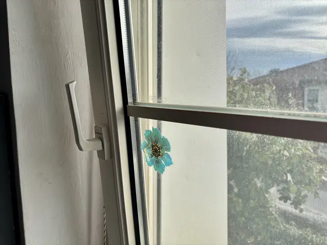 Ein gekipptes Fenster ist eine Einladung für Einbrecher. | Foto: MeinBezirk/Birgit Bachhofner