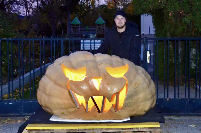 Bernd Rodler aus Grafenbach-St. Valentin, erhielt heuer einen Preis für den zweitschwersten Kürbis von Österreich. | Foto: Elisabeth Peinsipp
