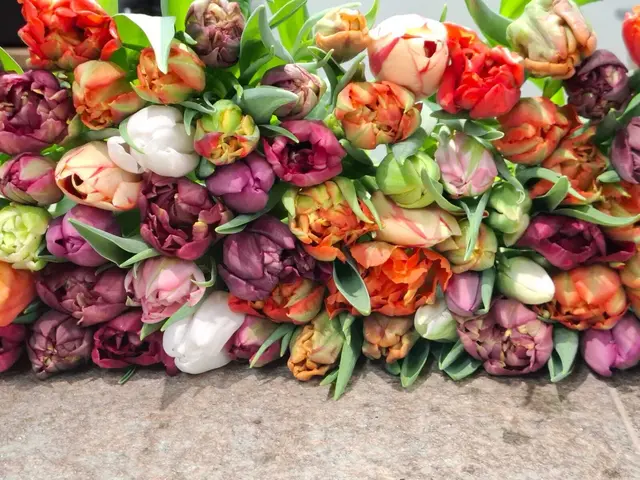 Bunte Vielfalt aus Eisenstadt. | Foto: Blumen Horvath