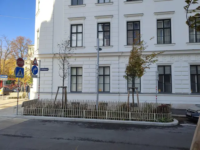 Ob Hitzestress oder Überwässerung – viele Jungpflanzen mussten von der zuständigen Behörde entfernt werden. Nun wurden neue Pflanzen eingesetzt. | Foto: zVg