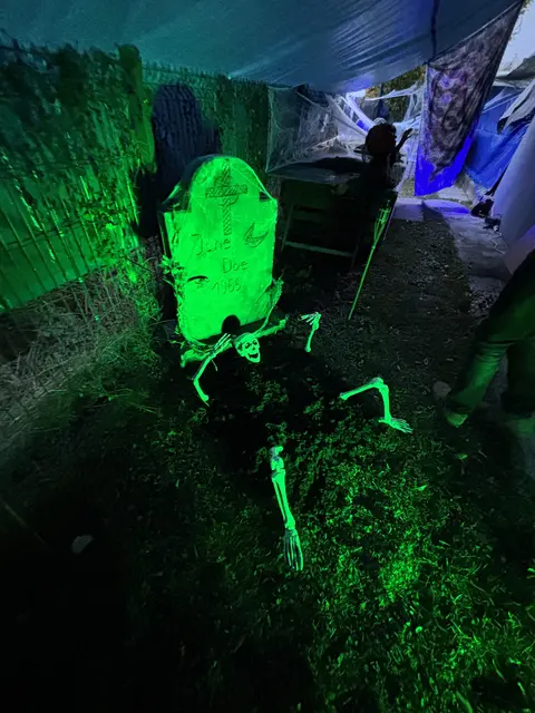 Dat hat sichs schon mal einer gemütlich gemacht. | Foto: MeinBezirk/Angelika Kern