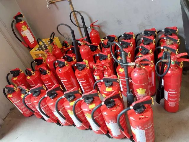 Mittlerweile sind die Dichtungsringe aus Feuerwehrlöschern in ganz Österreich unterwegs – kleine, unscheinbare Objekte mit großer Aussagekraft. | Foto: Privat