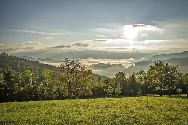 Wer Zufriedenheit an seinem Tun hat und sich
auch darüber freuen kann, der ist glücklich!
Foto: Glaser 