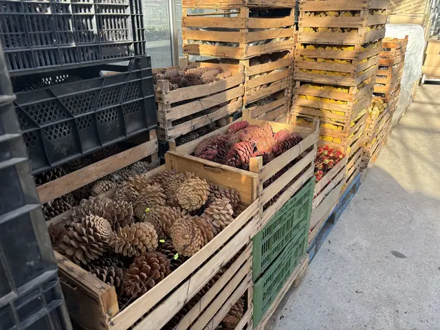 Deko-Material gibt's hier genug, in den Lagern von Gartenbau Schacherl. | Foto: MeinBezirk/Angelika Kern