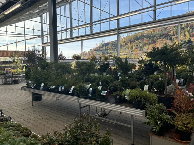 Foto: MeinBezirk/Angelika Kern