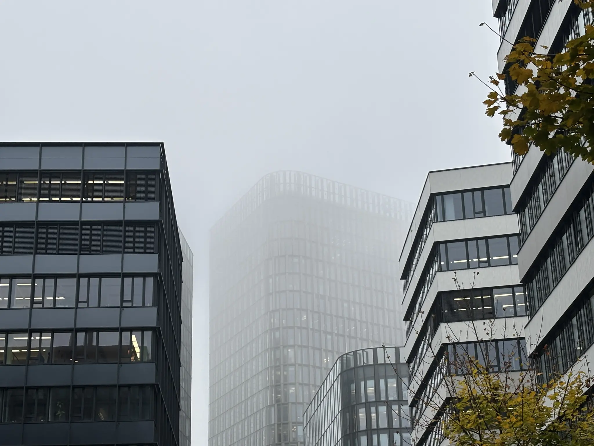 Allerheiligen in Wien: Zuerst Hochnebel, dann viel Sonne und bis zu 18 ...