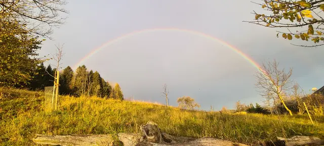 Hallo neuer Tag 🫠