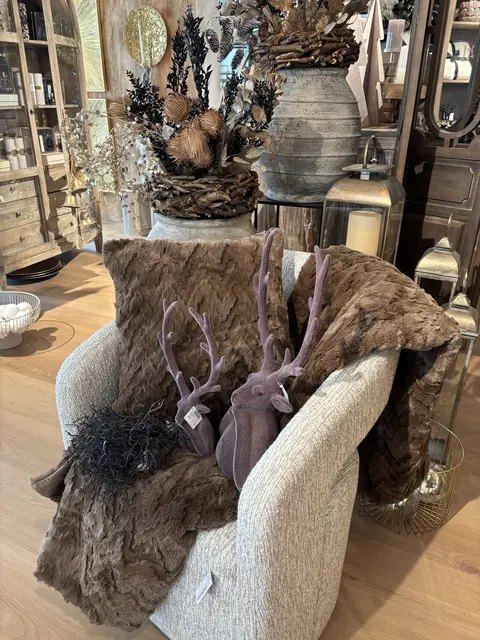 Foto: MeinBezirk/Isabella Friessnegg